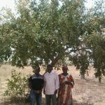 blog_wir_traeumen_von_baeumen_bild09